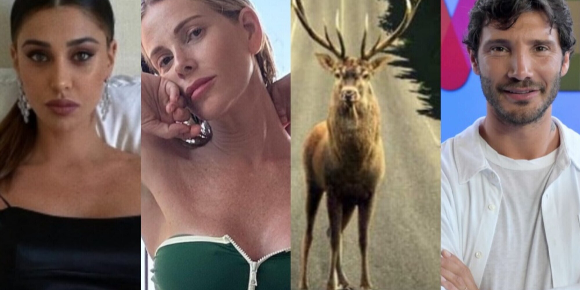 Alessia Marcuzzi e De Martino, spunta la foto col cervo: "Le corna di Belen"