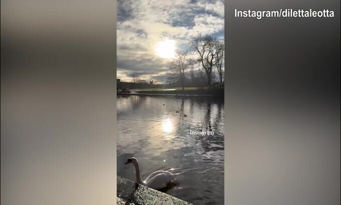 "Instagram vs realtà": il segreto svelato da Dileta Leotta...