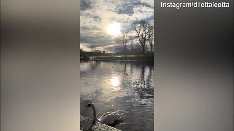 "Instagram vs realtà": il segreto svelato da Dileta Leotta...