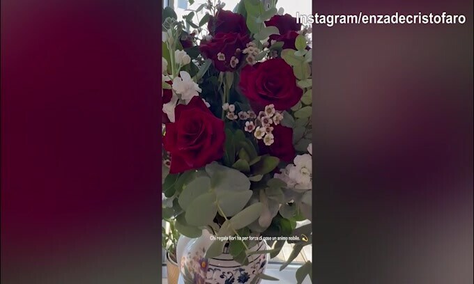 Lady D'Ambrosio: "Ha un animo nobile chi regala fiori..."