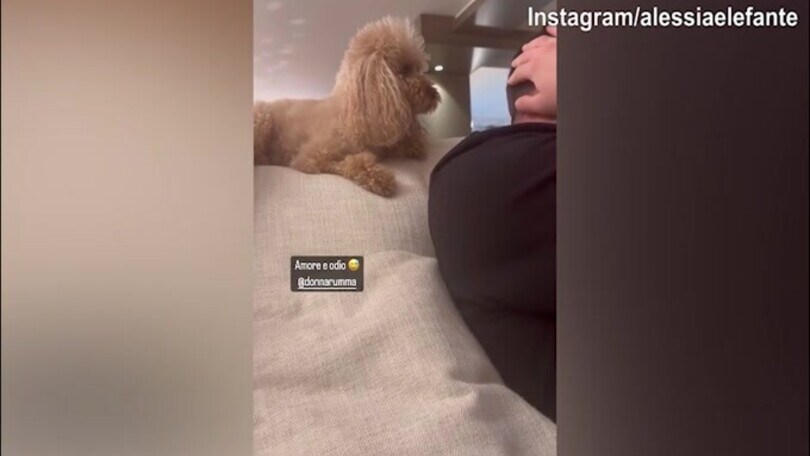 Il cane non gradisce il relax di Gigio Donnarumma