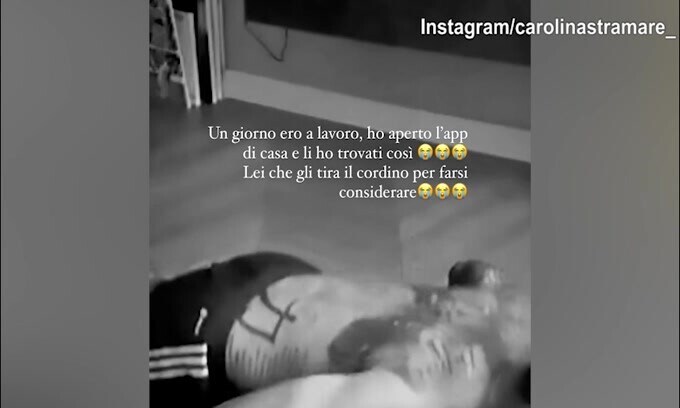 Pellegri lavora..ma viene disturbato da un cagnolino