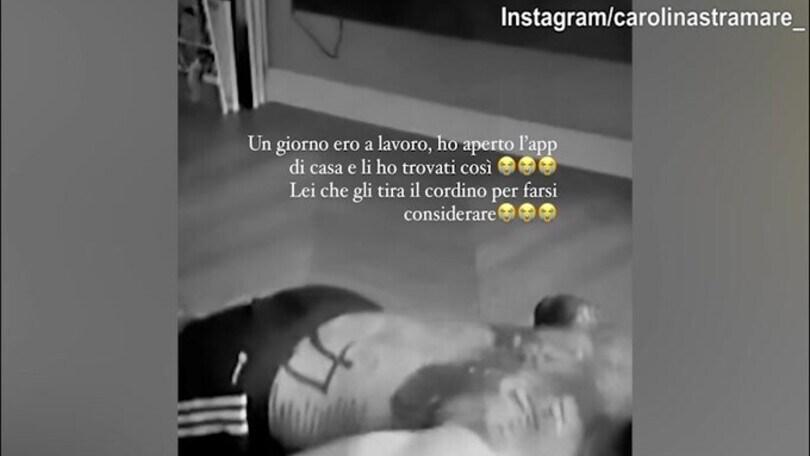 Pellegri lavora..ma viene disturbato da un cagnolino
