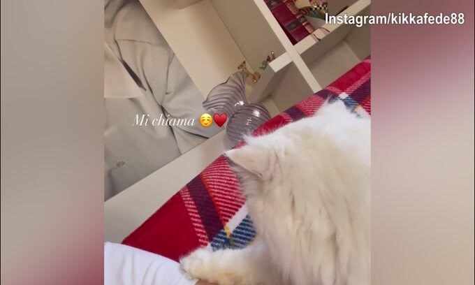 Federica Pellegrini e le coccole al cane...