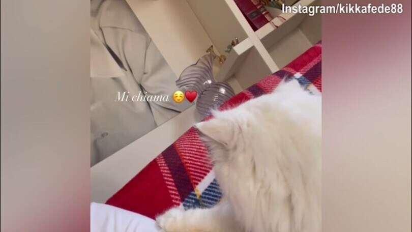 Federica Pellegrini e le coccole al cane...