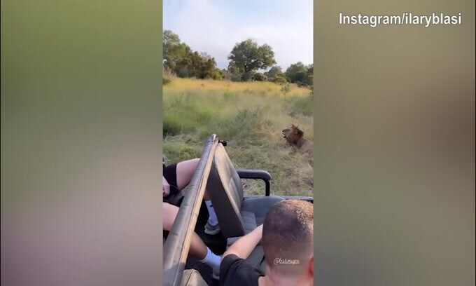 Sudafrica, safari notturno per Ilary Blasi
