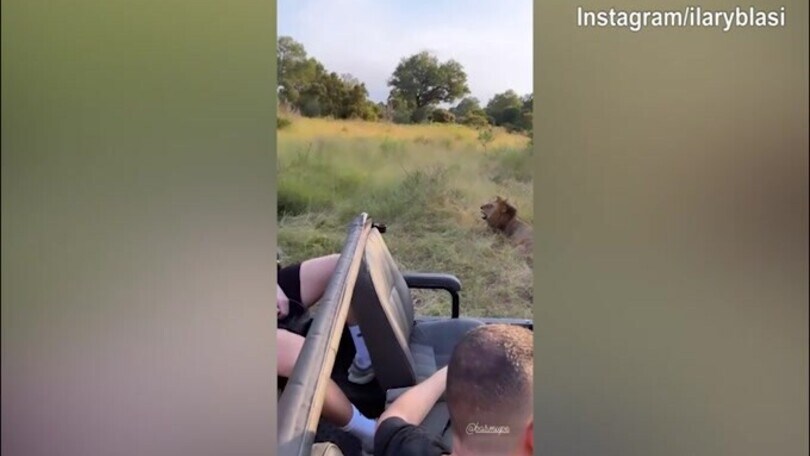 Sudafrica, safari notturno per Ilary Blasi