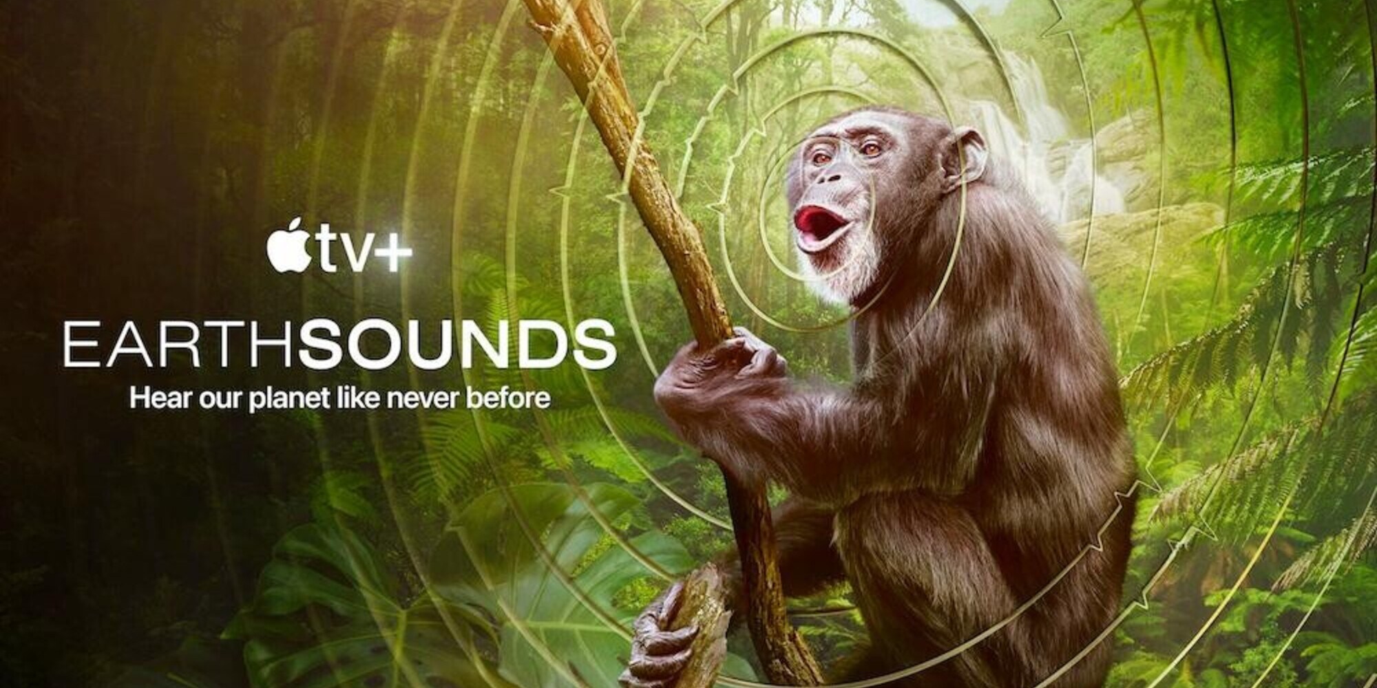 Earthsounds: i suoni del pianeta: trailer della docuserie