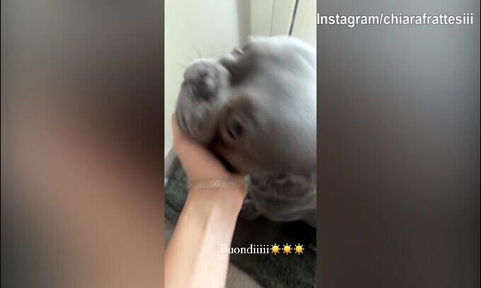 Il buongiorno di Chiara Frattesi ed il suo cane