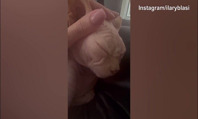 Ilary Blasi accarezza Alfio, ma lui dorme e...russa