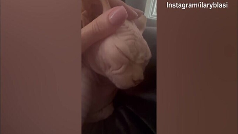 Ilary Blasi accarezza Alfio, ma lui dorme e...russa