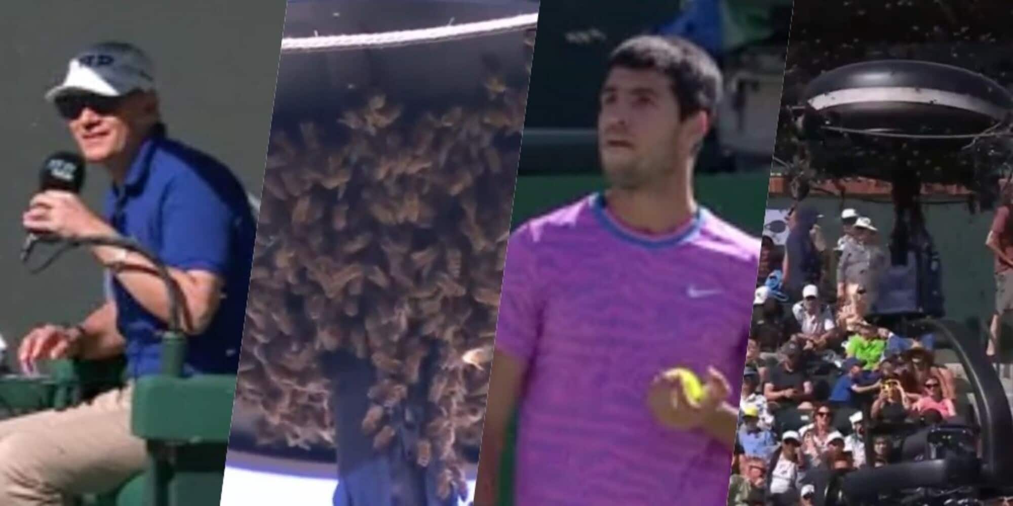 Zverev-Alcaraz, match sospeso: gigantesco sciame di api in campo