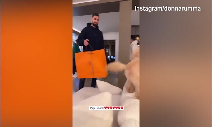 Donnarumma torna a casa con i regali: il cane reagisce così