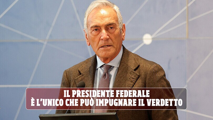 Gravina, ha torto?