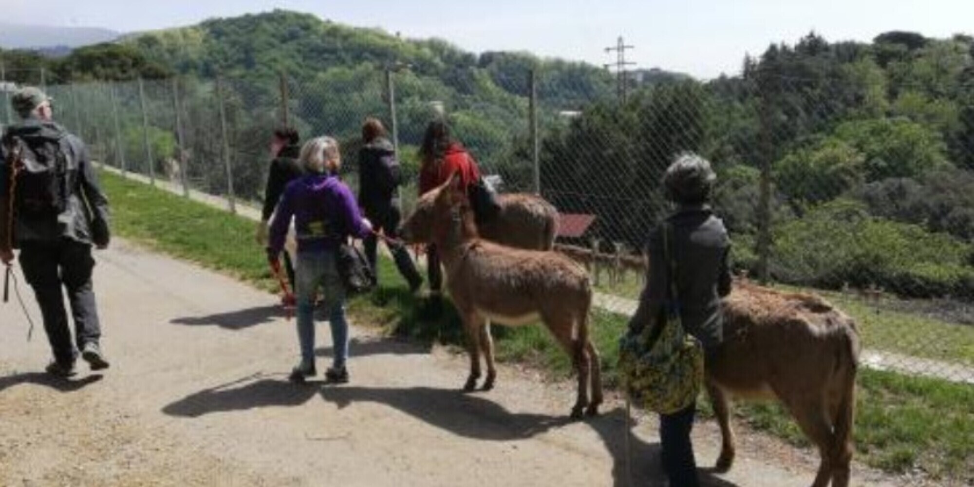 Pasquetta a Villa Duchessa di Galliera con i pony
