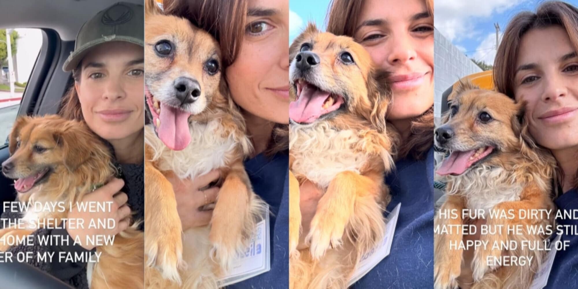 Elisabetta Canalis allarga la famiglia: "Charlie, mi hai fregato anche tu"