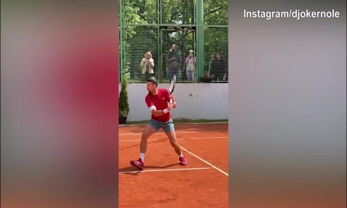 Djokovic: che allenamento tra tennis, basket e corsa