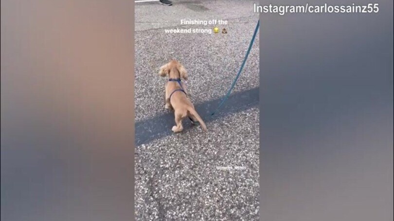 F1, Gp Imola: Leclerc conclude il weekend raccogliendo...i bisogni del cane
