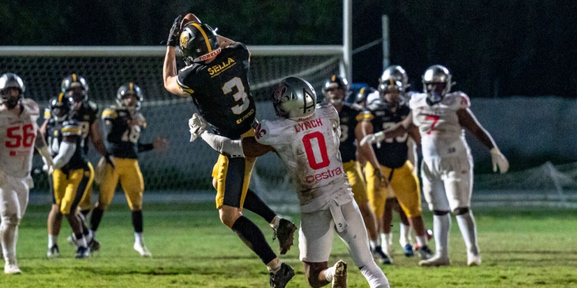 Giaguari Torino sabato ad Ancona per affrontare I Dolphins