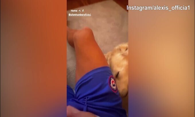 Il cane riposa, Sanchez coccola il suo amico a quattro zampe