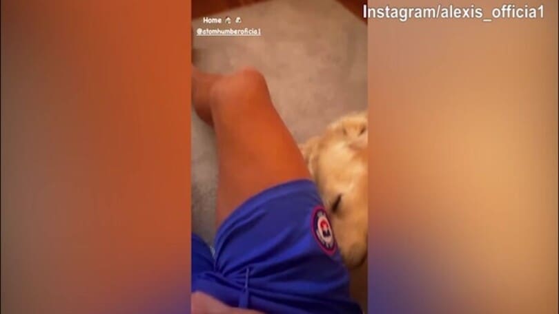 Il cane riposa, Sanchez coccola il suo amico a quattro zampe