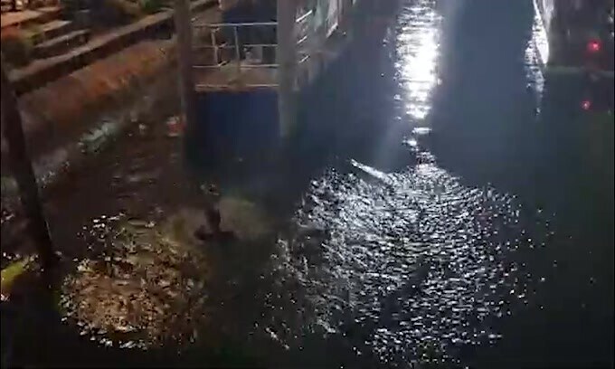 Venezia, Modolo: tuffo in acqua per festeggiare la Serie A