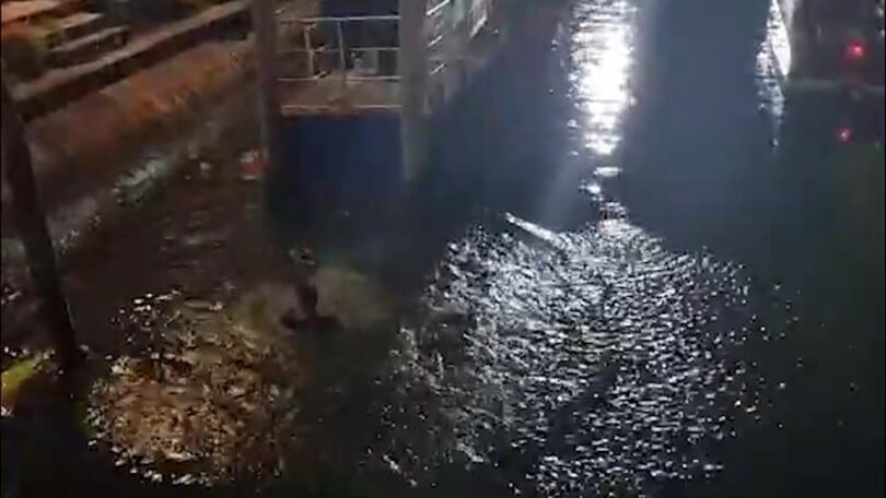 Venezia, Modolo: tuffo in acqua per festeggiare la Serie A
