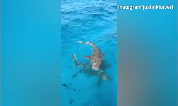 Kluivert si sposa, giorni romantici alle Maldive con Shanna