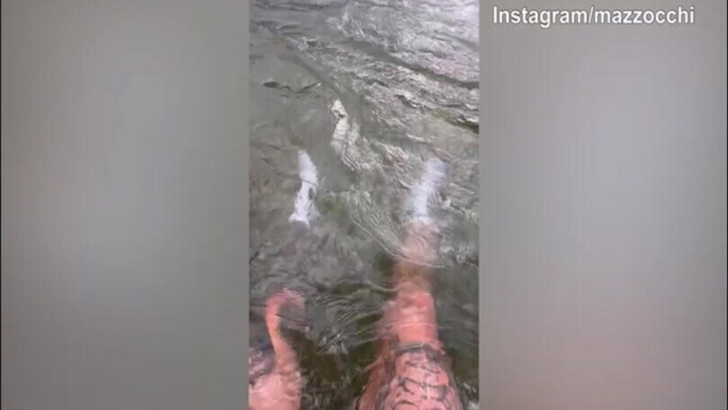 Dimaro, Pasquale Mazzocchi nel fiume 'Noce'