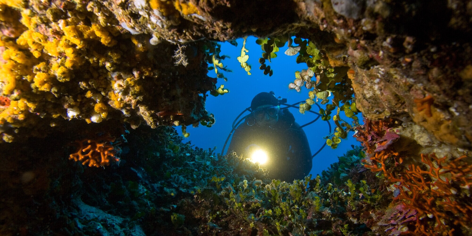 L’altra Sardegna, sott’acqua: le mete di diving