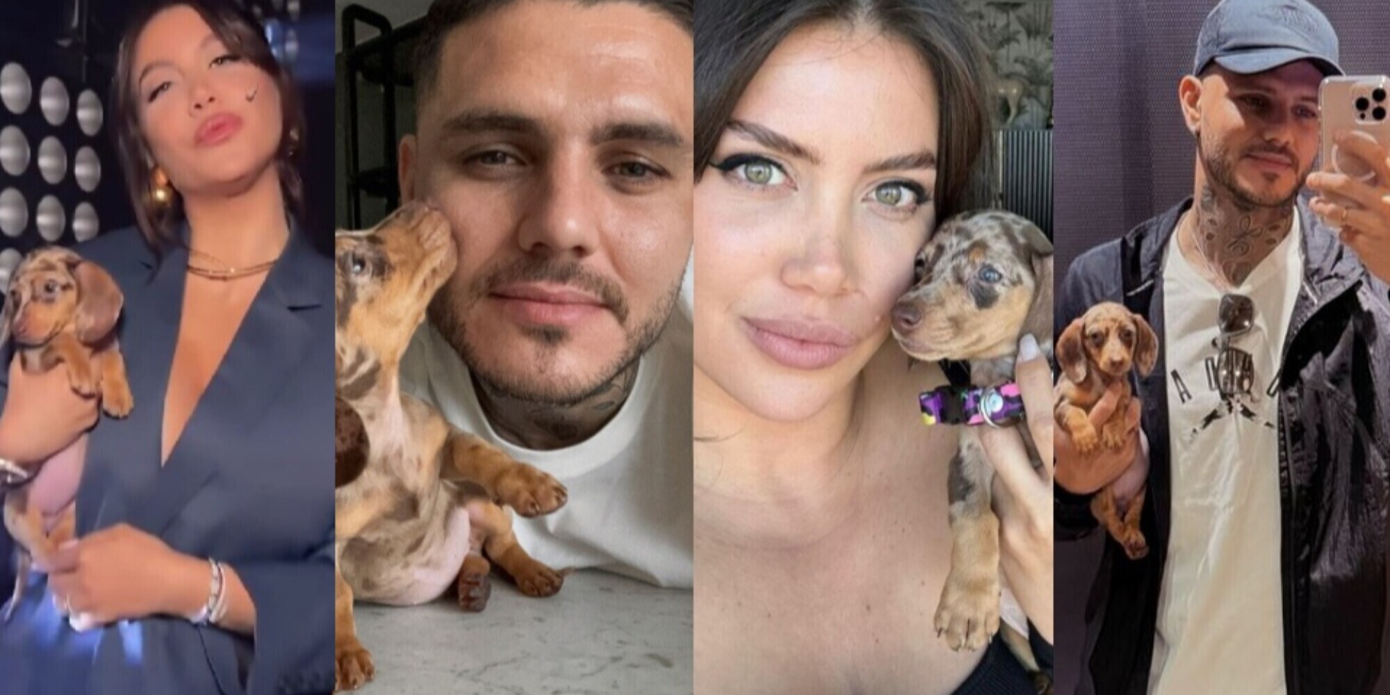Icardi vola da Wanda Nara e lancia una stoccata a L-Gante: "I cani percepiscono..."