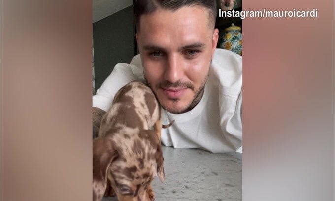 Mauro Icardi in Argentina per Wanda Nara? Lui posta video con un cagnolino...