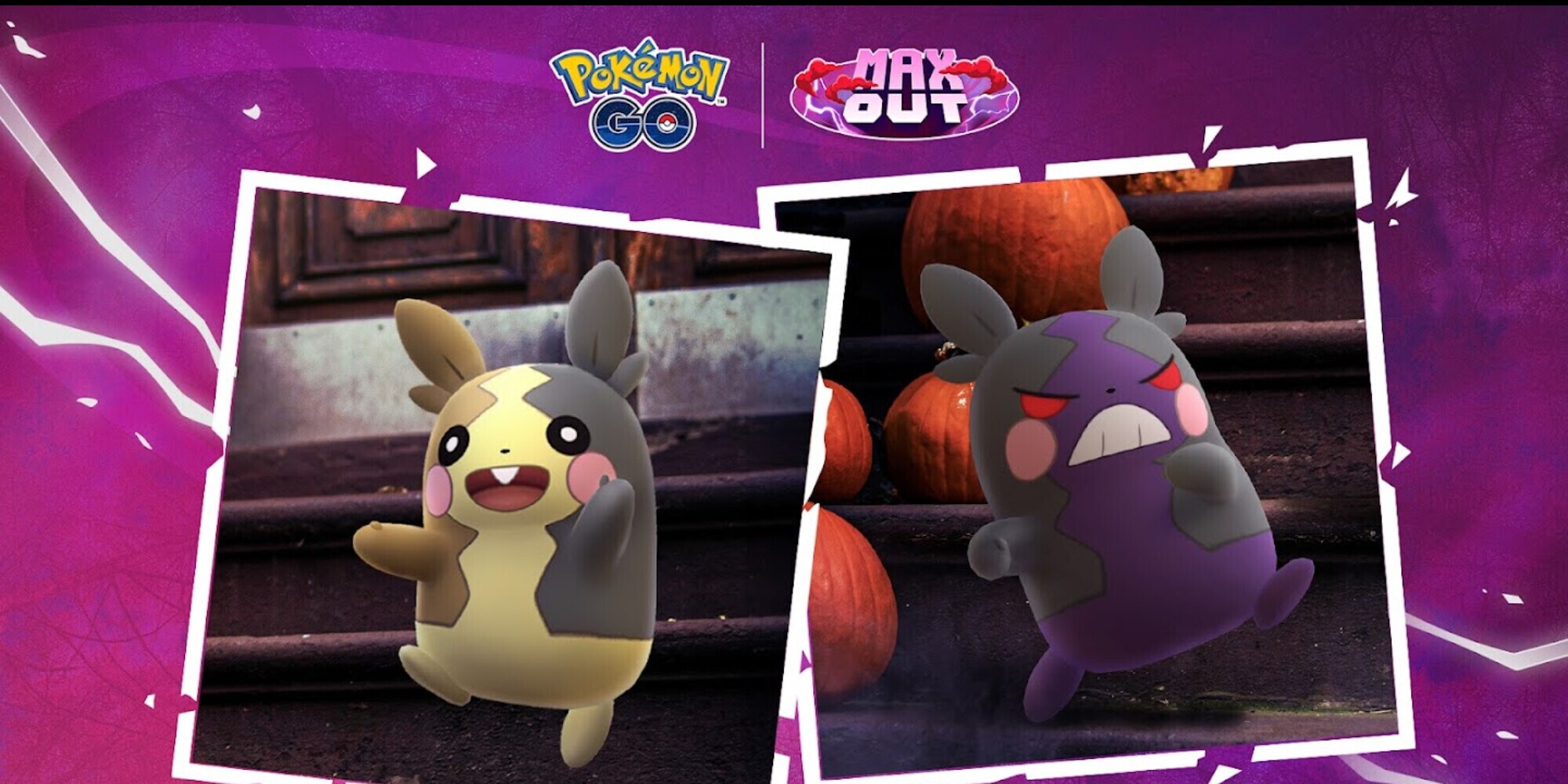 Pokémon GO Halloween 2024: la guida per ottenere Morpeko e tante personalizzazioni