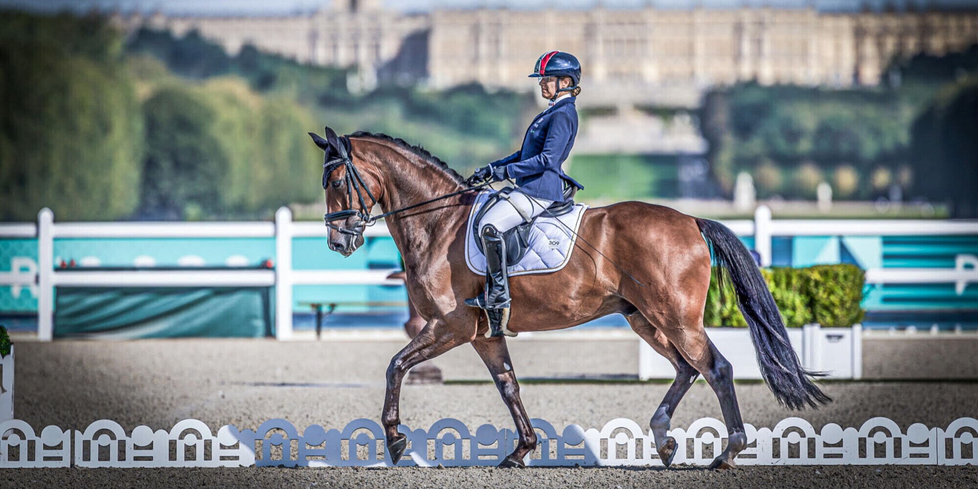 Genova a cavallo con il Festival degli Sport Equestri