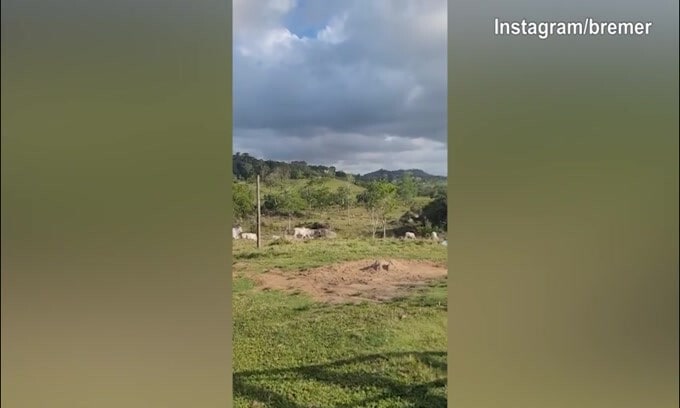 Juventus, Bremer si gode casa