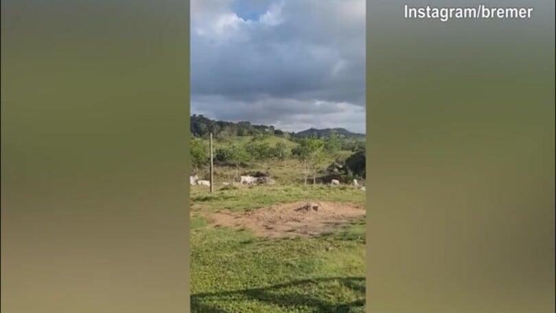 Juventus, Bremer si gode casa