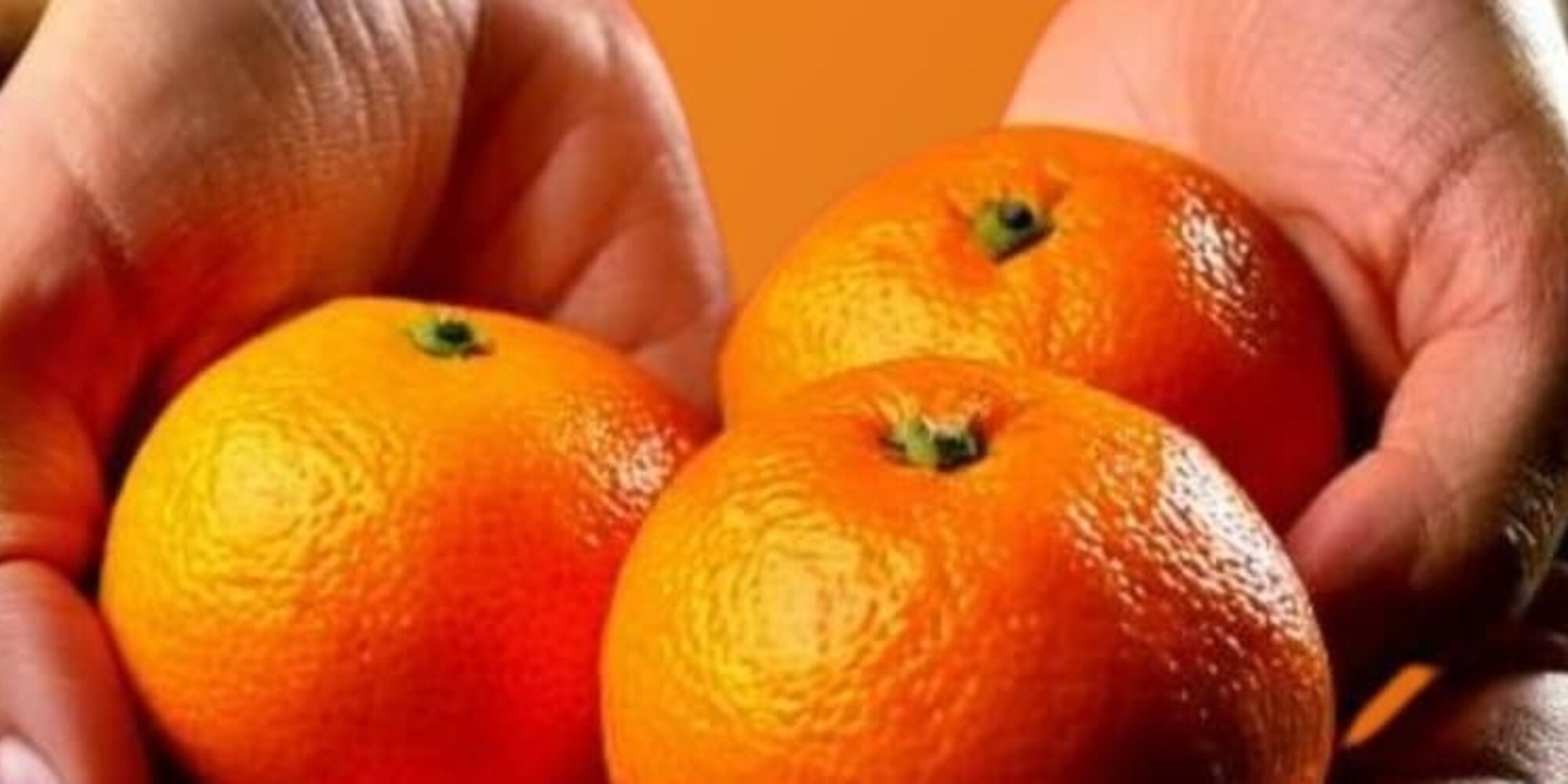 Giornata contro la violenza sulle donne, tornano in piazza le clementine di Confagricoltura