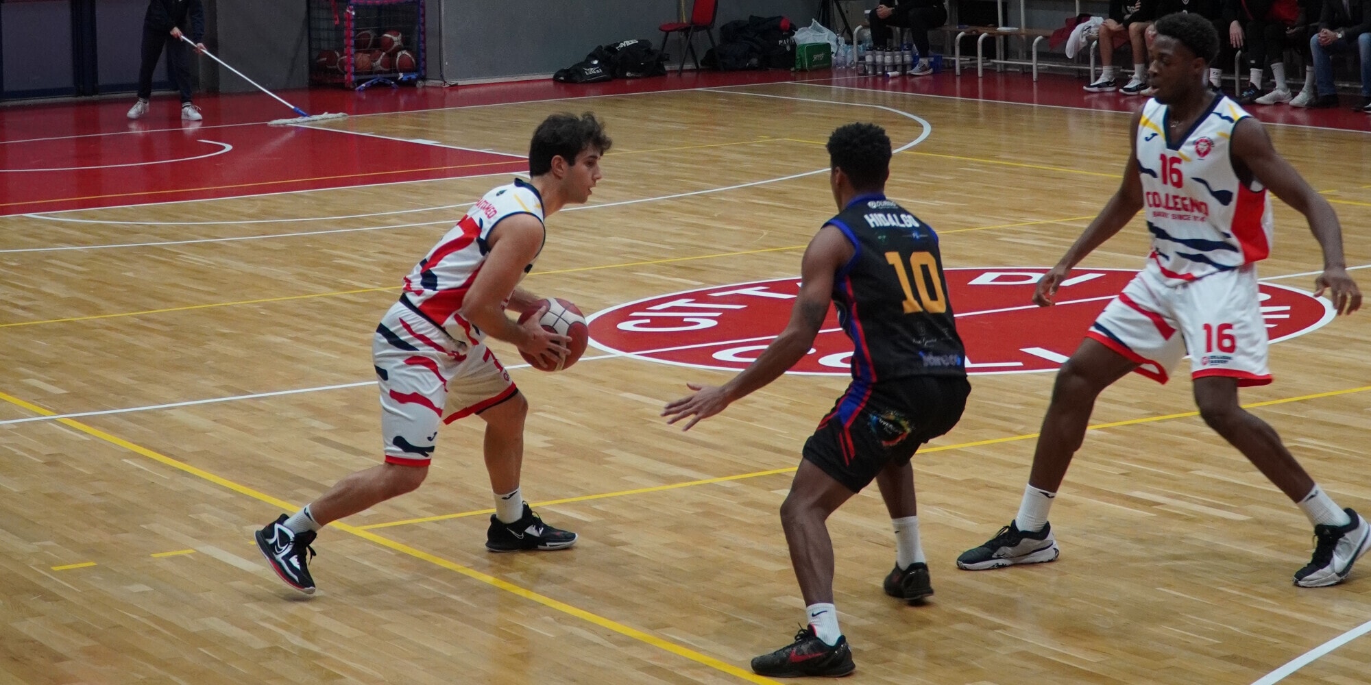 Collegno Basket: i Lions combattono, ma Pavia domina l'ultimo quarto