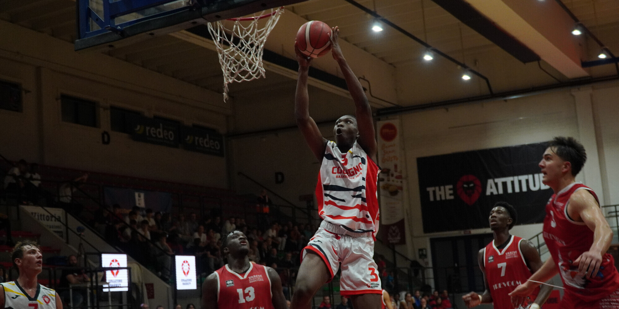 Collegno Basket: i Lions cercano punti preziosi contro Campus Varese