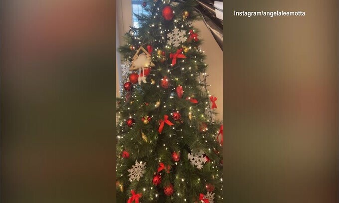 Albero di Natale juventino in casa Motta