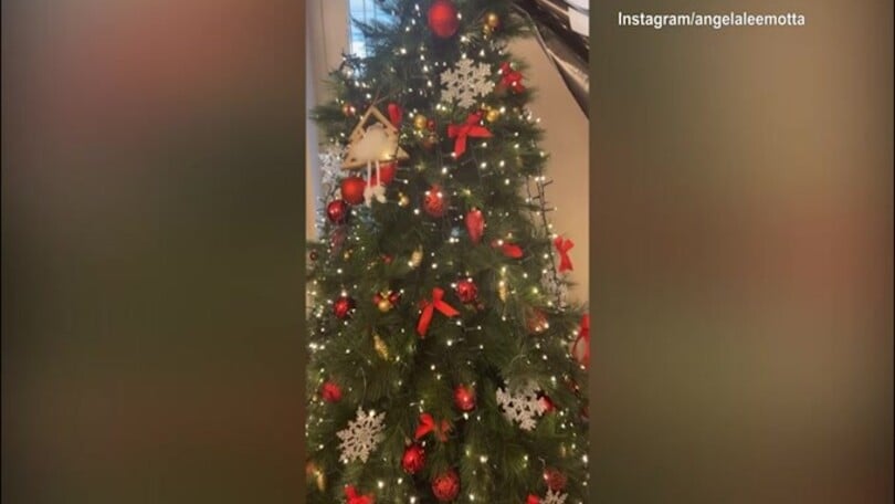 Albero di Natale juventino in casa Motta