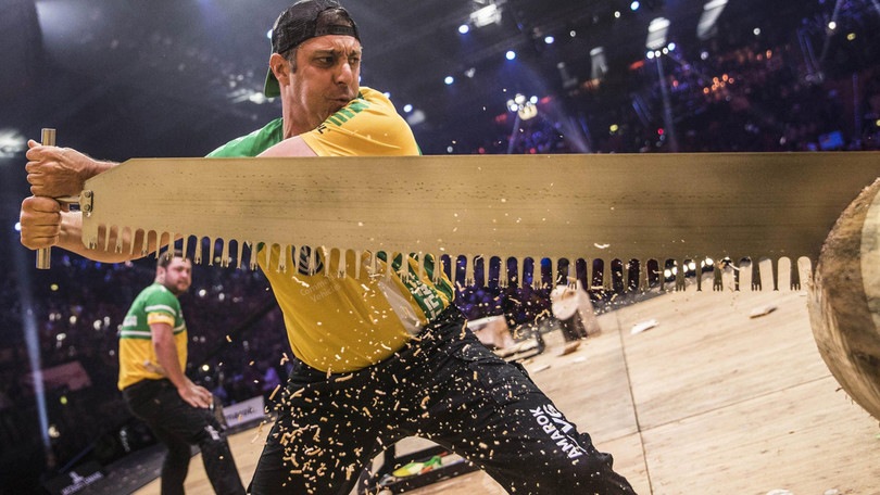 I campionati del mondo di.... taglialegna