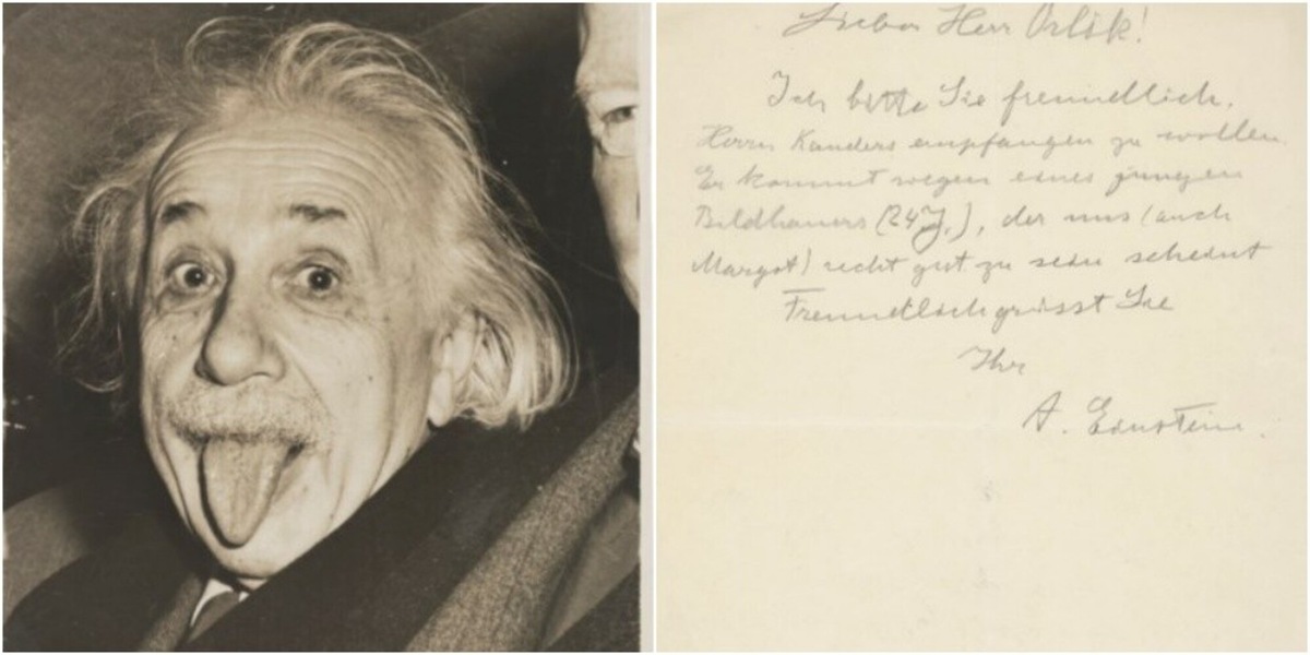 Porta Carte Oyster Albert Einstein – Titolare Di Carta Con Design Divertente 'Google It', 2 Tasche Interne - 4