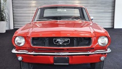 Mustang, gli scatti del modello appartenuto a Stallone