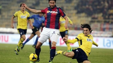 Samp: pressing su Bianchi, il Bologna ci pensa