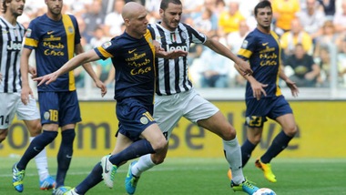 Il Verona si muove: rinnovi per Romulo e Hallfredsson