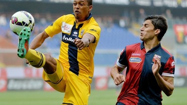 Calciomercato Ternana, rinnova Meccariello. Preso l'ex Parma Santacroce