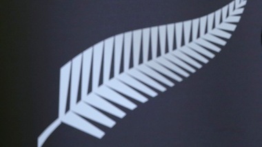 «C'è una bandiera dell'Isis». Ma è quella degli All Blacks