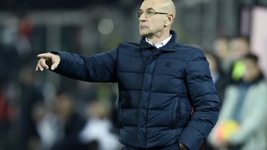 Coppa Italia, Palermo Ballardini: «Alessandria da non sottovalutare»