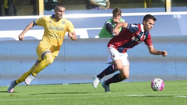 Serie A Bologna, Crisetig out almeno due settimane